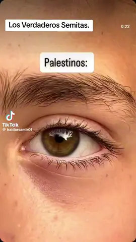 #AllEyesOnGaza #GazaUnderAttack #Ocupación #freepalestin #gazaholocaust 