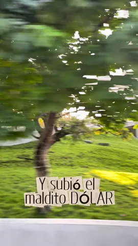 Subiendo el video el dólar subió 5 veces más 🤣 #venezuela #lyrics #rock #fyppppppppppppppppppppppp #caracas 