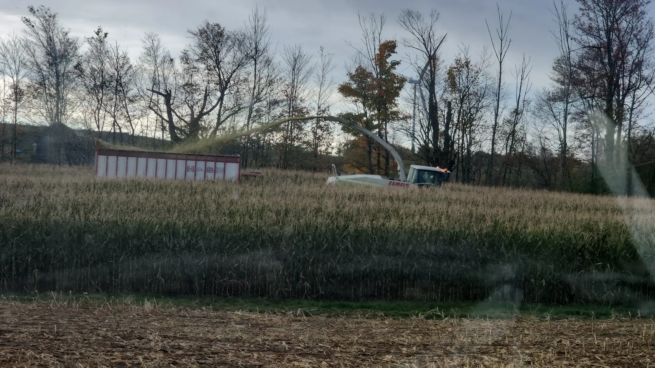 Saturday October 11th nephew is getting married to a beautiful bride. In the midst of it all it is still it is corn chopping season and the pile needs to be covered with fresh silage so everyone can enjoy the wedding on Saturday evening and not have to worry about working on Sunday. Dairy farm life never stops!!!! 24/7/365!!! @Micah Farm @Karis Burns @Minnie @jackpermo 