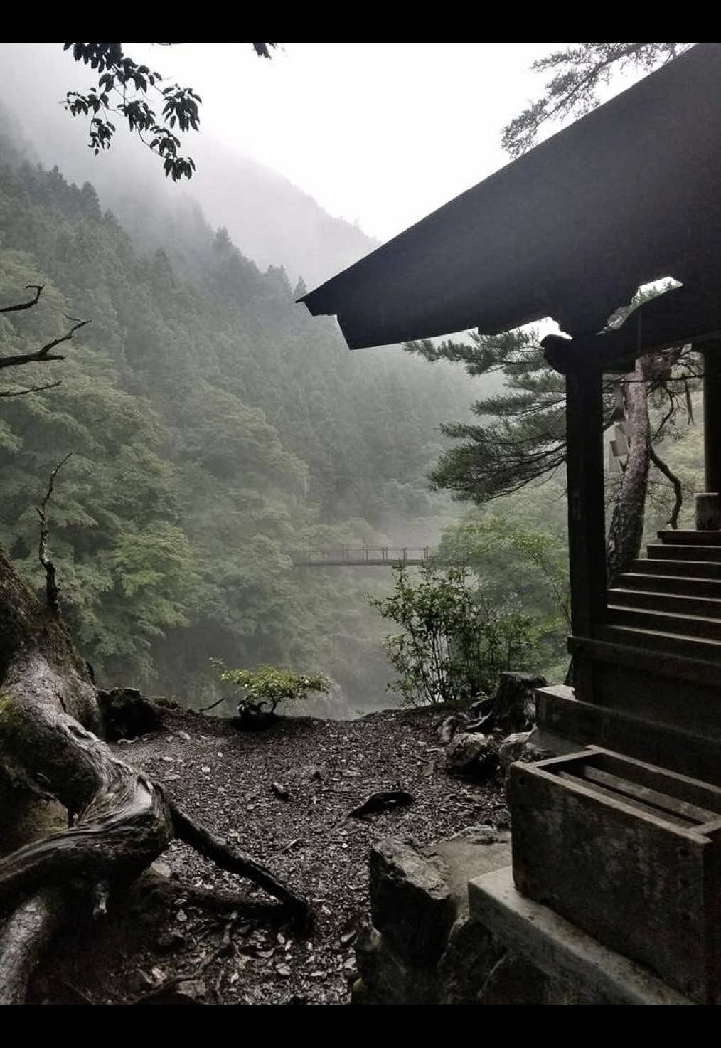 #darkaesthetic #kataktaesthetic #japan #viral #fog 