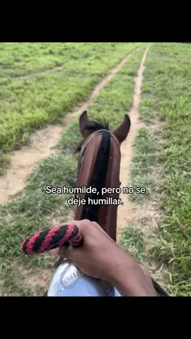 #humildad #ganaderia🐂🐎 #💸💸💸 