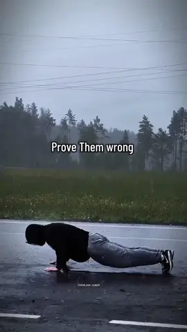 Prove Them Wrong. . . . . #motivation #discipline #stitches #shawnmendes #success 