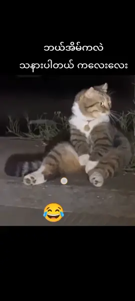 #todayilearned #hsengsein288 #today 