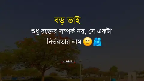 ভাই শুধু রক্তের সম্পর্ক নয়, সে একটা নির্ভরতার নাম।🙂✨🫂#tiktok #viralvideo #foryoupage #জাহিদ 