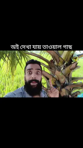 #funny ওই দেখা যায় তাল গাছ।@everyone 