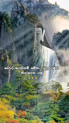 බුදුසරණයි 🙏🙏🙏🙏🙏🙏#goviral #1millionaudition #viral #fyppppppppppppppp