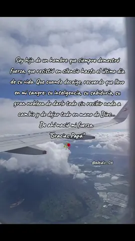 Gracias Papá Y Un Beso Al Cielo 🪽❤️‍🩹  #frases #teextrañopapá #simpretellevareenmi❤️  #✨🥹 