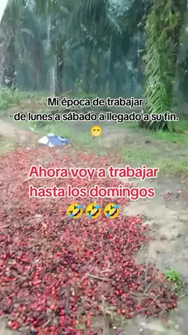 🌴🌴 #contenido #paratiiiiiiiiiiiiiiiiiiiiiiiiiiiiiii #viral #trabajo 