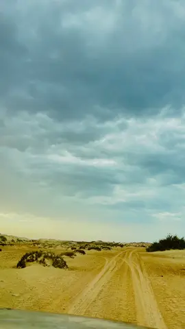 #مكان_لايوجد_فيه_المنافقون 