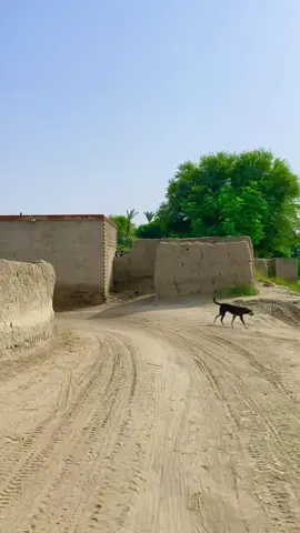 گاؤں کے نظارے