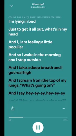 What’s up x Beez in the trap - 4 Non Blondes, Nicki Minaj ##lyrics##spotify##song##fyp##music