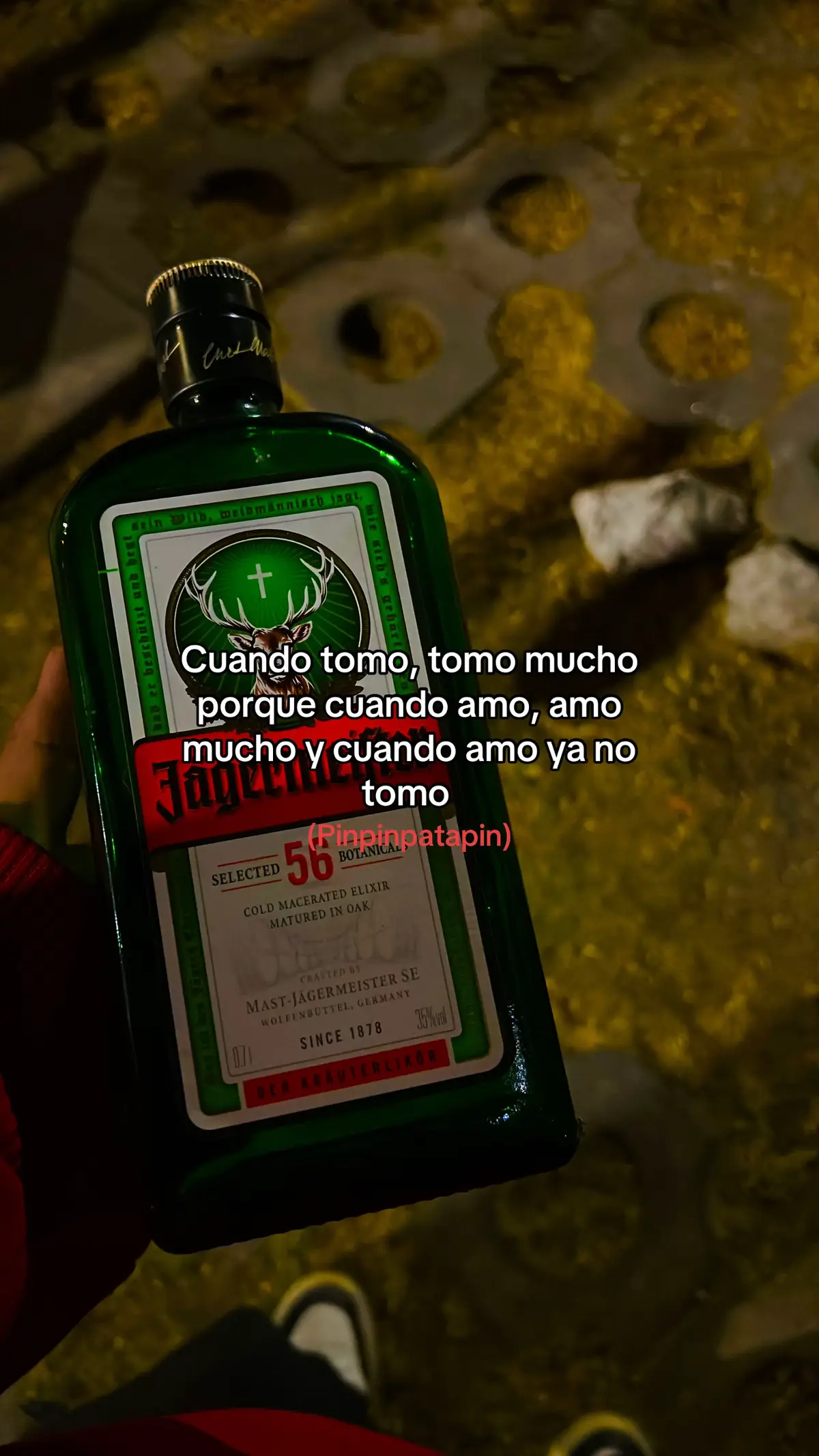 #fyppppppppppppppppppppppp #contenido #musica #audio #jagger 