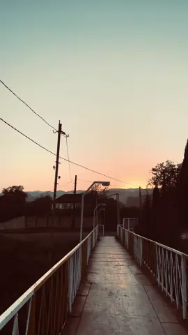 𝓐𝓻𝔁𝓪 𝓯𝓸𝓷🤎