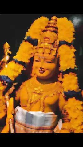 அப்பா முருகா🙏🏻🦚🙏🏻#foryou #foryoupage #தமிழ்கடவுள்முருகன் #appamuruga #fypシ゚ 