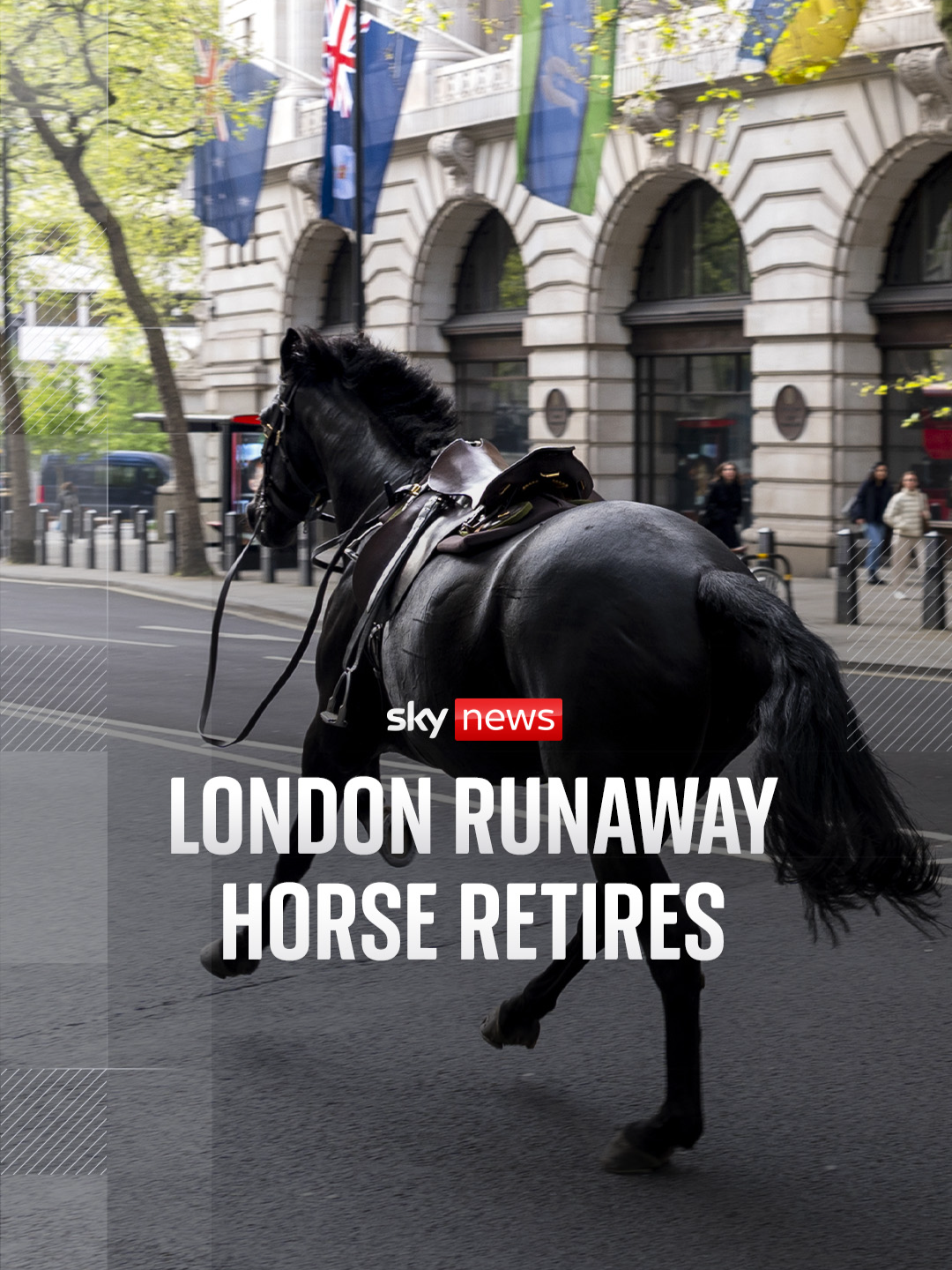 A military horse, which bolted through central London after being startled by construction work, has retired. After receiving veterinary treatment and surgery, Quaker is now returning to The Horse Trust to enjoy his retirement in Buckinghamshire. #skynews #horse #london