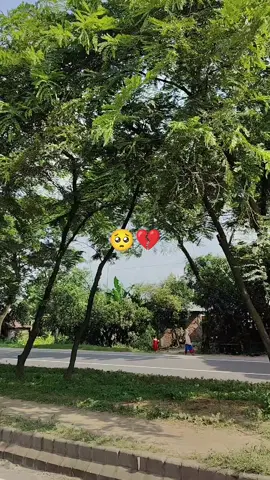 # জীবনে আর কাউকে বিশ্বাস করবা না ❤️‍🩹