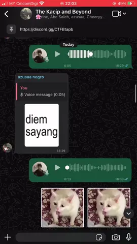 Cucur Adabi Qo #cucuradabi #meme #fyp #catmeme #catuwek 