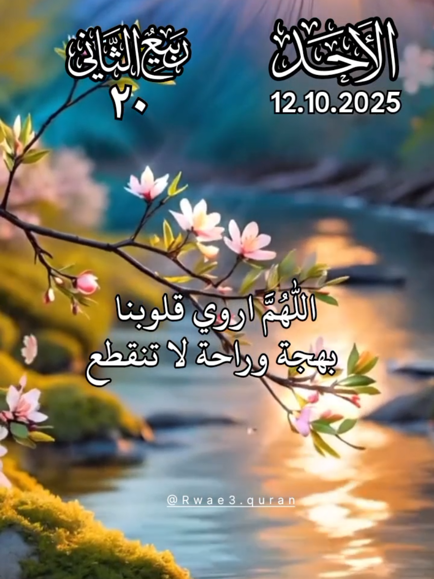 دعاء يوم الاحد 🤲♥️ افضل دعاء و حالات و ستوريات يوم الاحد جديد 2025 🤲♥️ #دعاء_يوم_الاحد #ادعية  #حالات_واتس #صباح_الخير  #اللهم_امين_يارب_العالمين 