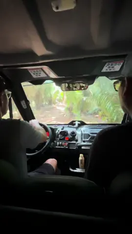 Jungle ride 🌴🙈