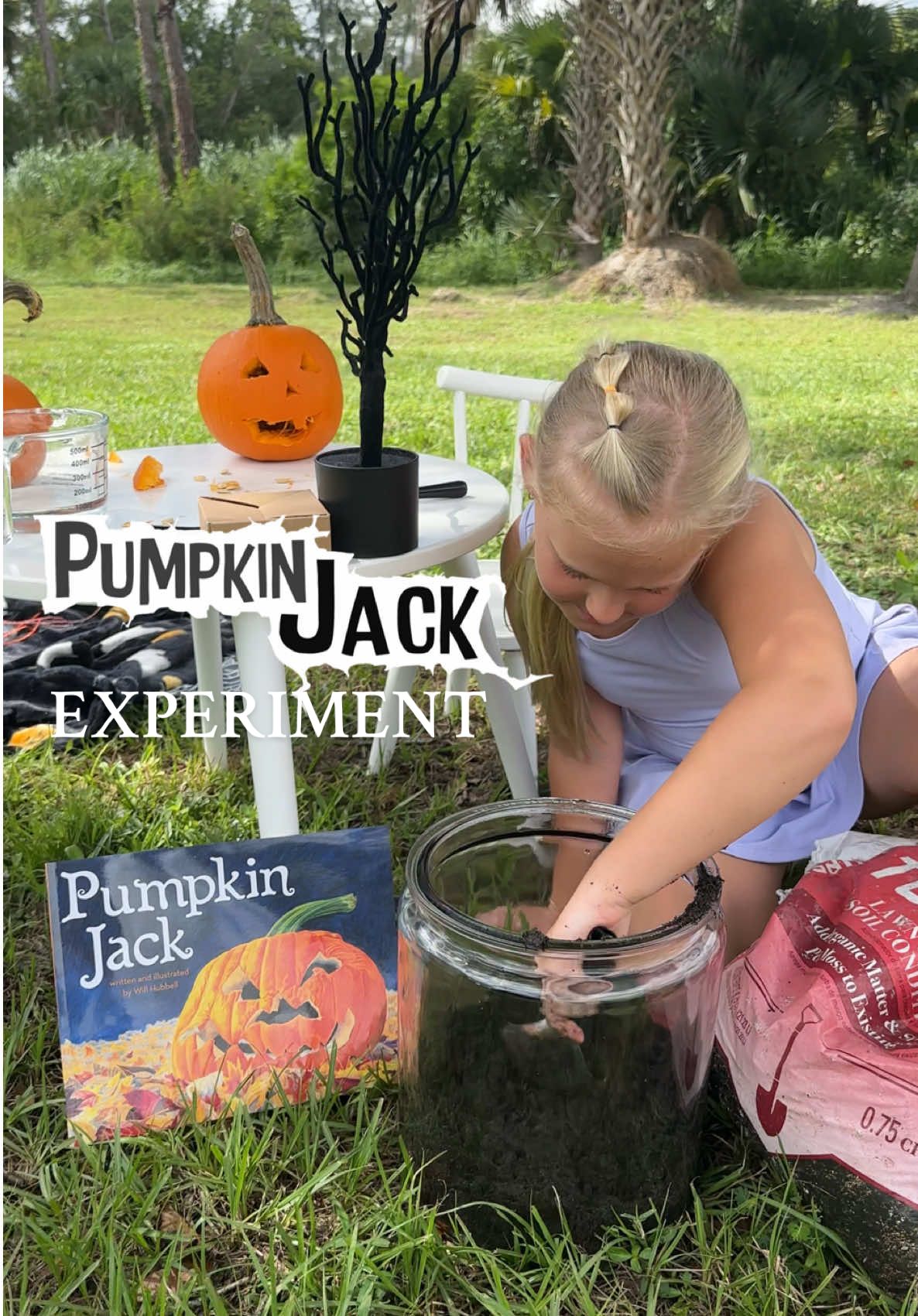 Meet Pumpkin Jack — the science experiment that never dies 🎃💀 #pumpkinjack #halloweenactivities #halloween #homeschool #scienceexperiments 
