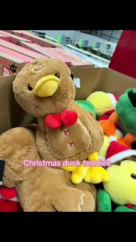 How adorable are these teddies at Asda! #asda #xmas #teddy #christmas #duck