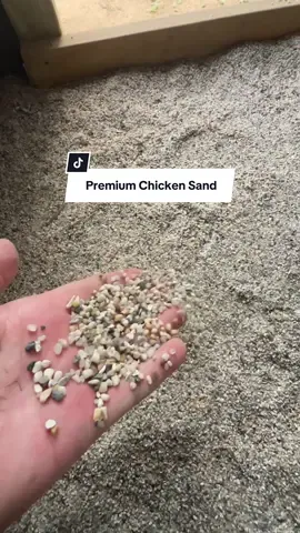 Chickens are the reason why we can’t have nice things. This premium chicken sand is helping to keep their small little bachelor pad so much cleaner and dust free. ##chickens##roosters##seramachicken##falldeals##tiktokshopfalldealsforyou