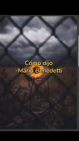 #fyp #foryou #frasesdeoro #frases #poesiapura 