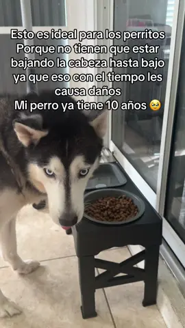 #adjustablepetbowl #pet #dogs #dog 