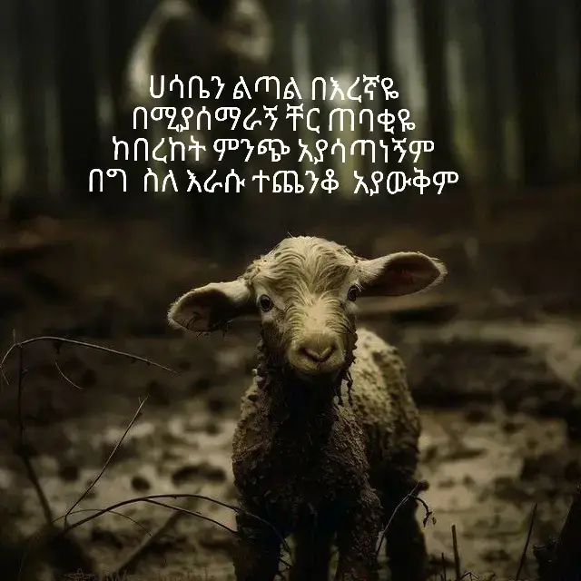 ሀሳቤን ልጣል በእረኛዬ በሚያሰማራኝ ቸር ጠባቂዬ ከበረከት ምንጭ አያሳጣነኝም በግ  ስለ እራሱ ተጨንቆ  አያውቅም የራሴን ፀጉር ቁጥሩን ያውቀዋል የእጁ ስራ ነኝ መች ይረሳኛል የልቤ መሻት ዛሬ ባይሞላም እግዚአብሔር አለ አልጨነቅም❤️‍🩹 #ጌታዬ_ብርታቴ #ethiopia_ortodox_tewahido✝️❤ #ethiopia_ortodox_tewahido✝️❤ #ኦርቶዶክስ_ተዋህዶ_ፀንታ_ለዘለዓለም_ትኑር 