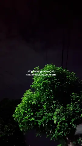 aku cah apik ow #dangdutkoplo #fyp 