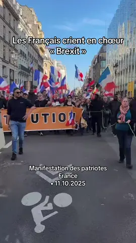 #paris #patriotes #manifestation #france🇫🇷 