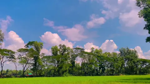 #প্রকৃতির_অপূর্ব_সৌন্দর্য🥰 #songs #foryoupage #vairal #foryou 