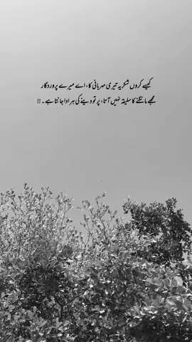 Say Alhumdulillah 🥹❤️ #fyp 