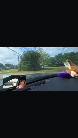 #shaunanagins  #mycrazydayvlog  #runerrandswithme  #cartherapysession 