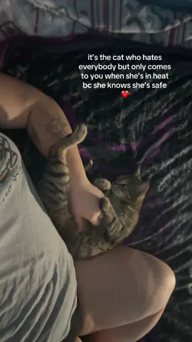 her paws are you kidding me 😭❤️ #fyp 