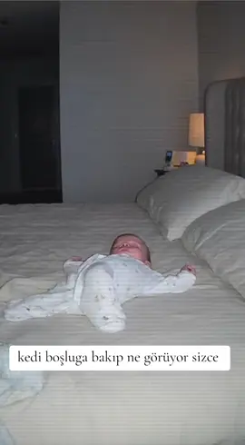 kedi boşluğa bakıp ne görüyor sizce! #cat #baby #keşfet 