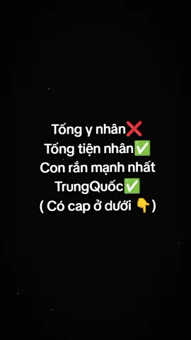 Tống tiện nhân chính thức bị phong sát sau vụ VML , sau 48 h phim bị gỡ, bị bão mạng nx 🤣🤣 ( thông tin lấy cảm hứng nhìu nguồn ) #Vumonglung #vumonglung #tongtiennhan #VML
