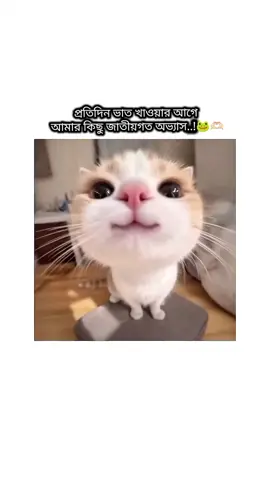 তুমিও কি এমন...?😁🐸🤌🏻 . . #foryourpage #funnyvideos #Foryou #trend #relatable 