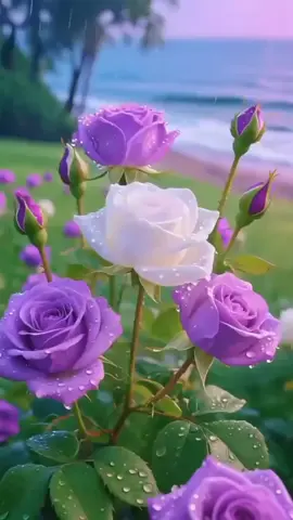 #الباقيات الصالحات خيراً وأبقى 🌹🤍❤💜