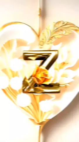 🥀 Z I love you 💗#zjan #ziloveyou🥺❤️ #tiktok #foryou #video 