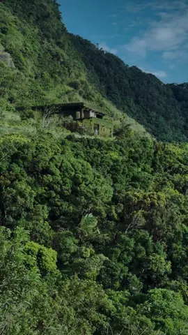 මේ ගෙදර ඉන්න අය කොච්චර වාසනාවන්තයිද 💚🌿🌺 පරිසරයම ගෙදරක් කරගෙන ඉන්න තැන 🌾🏠💫 #srilanka #pyp #viralvideo #viral #rivastian 