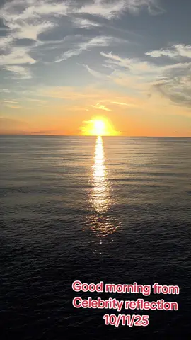 #fyp #Royal Caribbean cruise  #Holland America cruise #Carnival Cruise #Celebrity Cruise  Cruise cruise   of the seas Royal Caribbean 