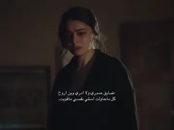 #اكسبلور🌷🌷🌷 