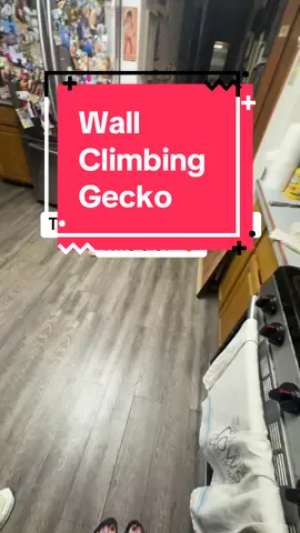 This Wall Climbing Gecko was meant to be a gift for my nephew… but obviously we had to “test it” first 😅 Big mistake. The cats are OBSESSED. They chase it up the walls like it’s their job 🐈‍⬛🦎 Pretty sure I’m ordering another one because there’s no way they’re giving this toy up now 😂 ⸻ 📦 SEO Keywords: wall climbing gecko toy, funny cat video, cat toy gift idea, Christmas gift ideas, pet lover gifts, viral wall gecko, funny pet moments, holiday toys 2025, white elephant ideas, family gift ideas ⸻ #️</h>⃣ Hashtags (10 total): <h id=