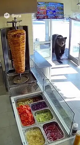 Wenn der Bär Hunger hat, gibt’s kein Halten mehr 😅🐻 #bär #kebab #funnyvideo #viral #sora