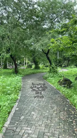 يارب 🙏🏻 #fyp #explore #4u 