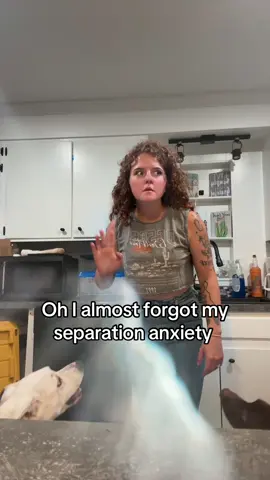 #fyp #germanshorthairedpointer #gspsoftiktok 