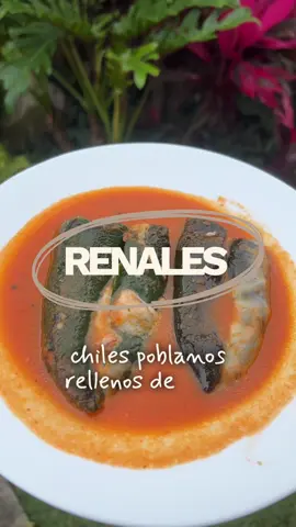 https://beacons.ai/nutricion.ney #dietarenal #tipsrenales #ERC #CKD #fecetasrenales 