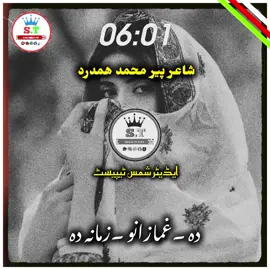 viral #song #شایر پیر محمد ھمدرد #foryoupage #tiktok #account 👍❤️‍🩹💘🤕🖇️🌷🥀✌️✌️