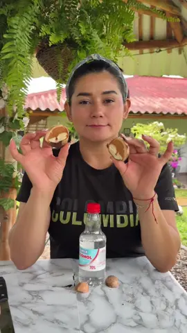 Elimina dolores de rodilla con la pepa de aguacate 🥑 #remedionatural #remedioscaseros 